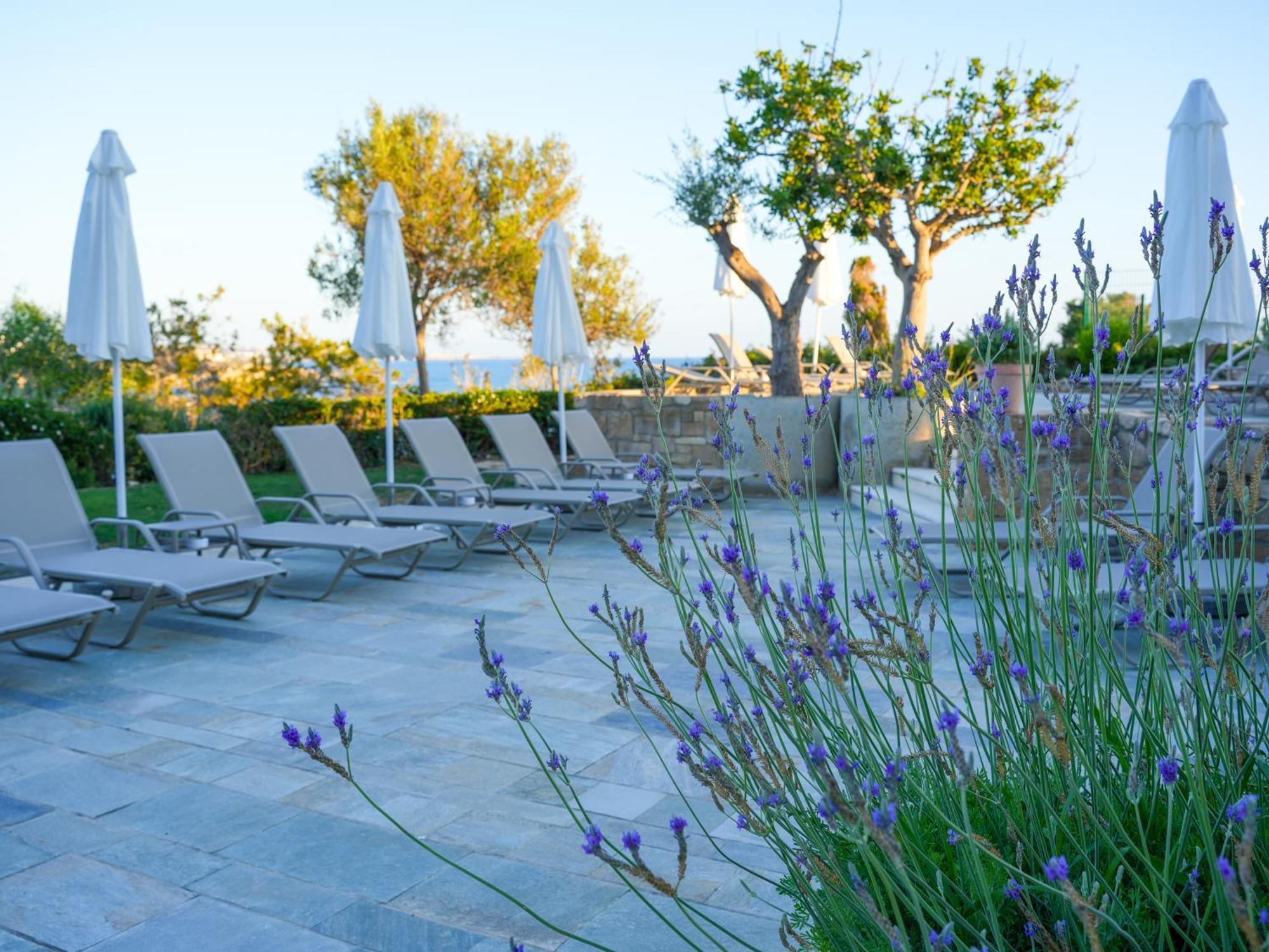 Thalassa Boutique Hotel & Spa (Adults Only) Κόλπος των Κοραλλιών Εξωτερικό φωτογραφία